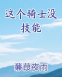 这个骑士没技能
