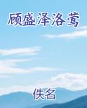 顾盛泽洛莺