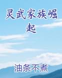 灵武家族崛起