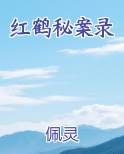 红鹤秘案录